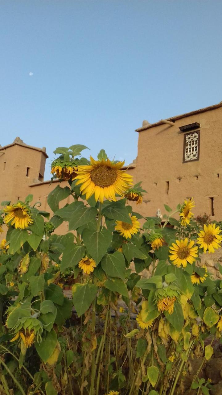 米德勒特 Kasbah Izoran酒店 外观 照片