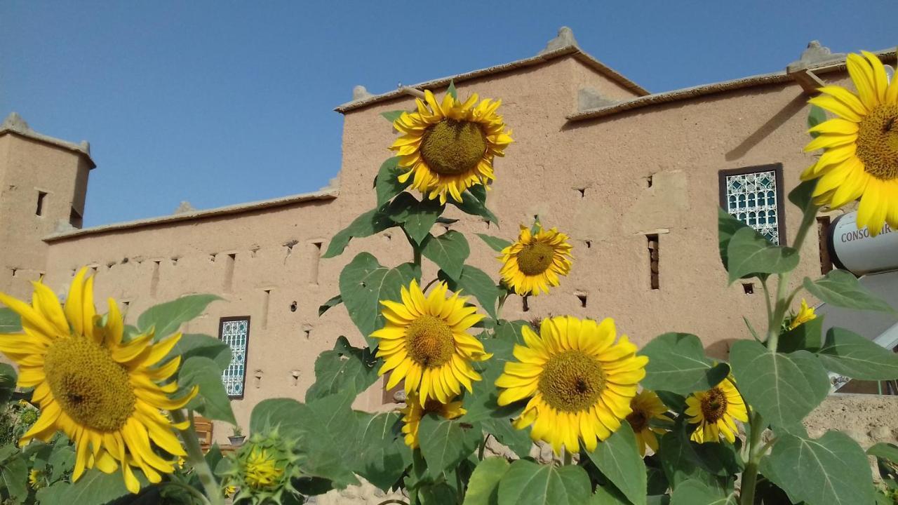 米德勒特 Kasbah Izoran酒店 外观 照片