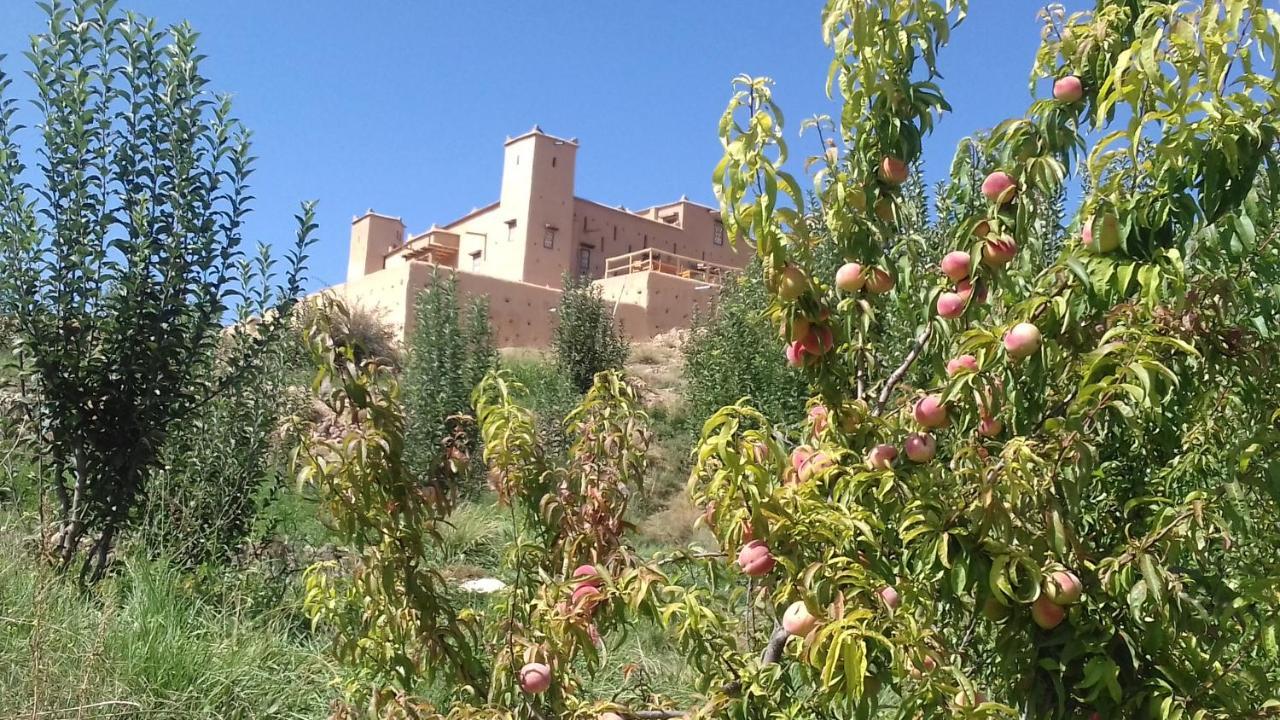 米德勒特 Kasbah Izoran酒店 外观 照片